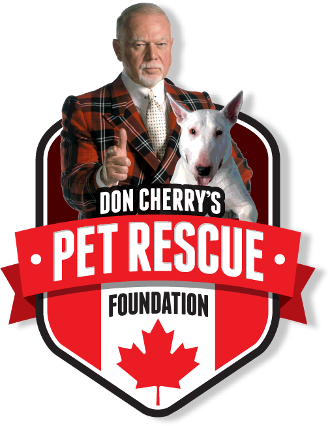 Don Cherry's Pet Rescue Foundation