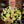 Don Cherry worn "Yellow Floral" Jacket,Shirt, Tie and Link Ensemble  - LOT #20 SERIES 3